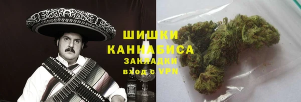 крисы Инсар