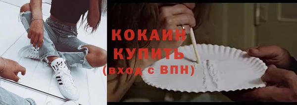 крисы Инсар