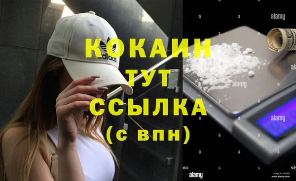 ECSTASY Инта
