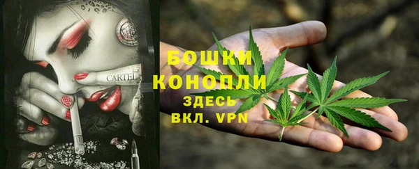 ECSTASY Инта